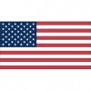 Gæsteflag USA